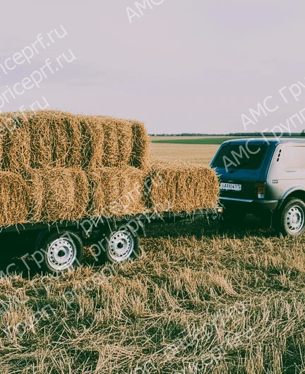17d7404f-3d9c-4cb6-8752-ecd2a3bd91dc-222g0r7vpg011r7vpg0r7_результат.png