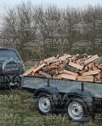 c530c59b-30d7-4e3d-9598-beef30cae878-33333_результат.png
